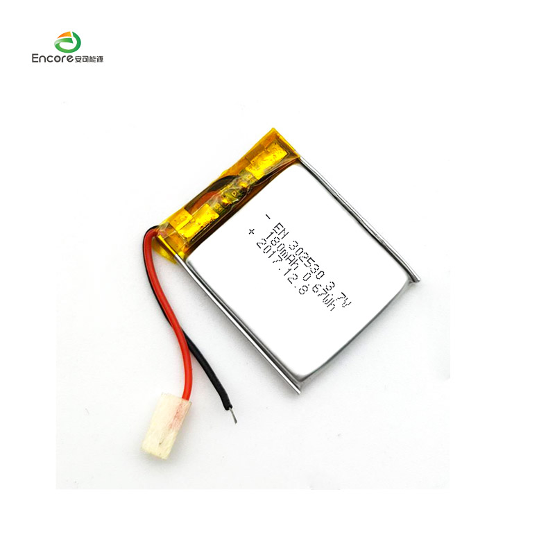 302530 baterya